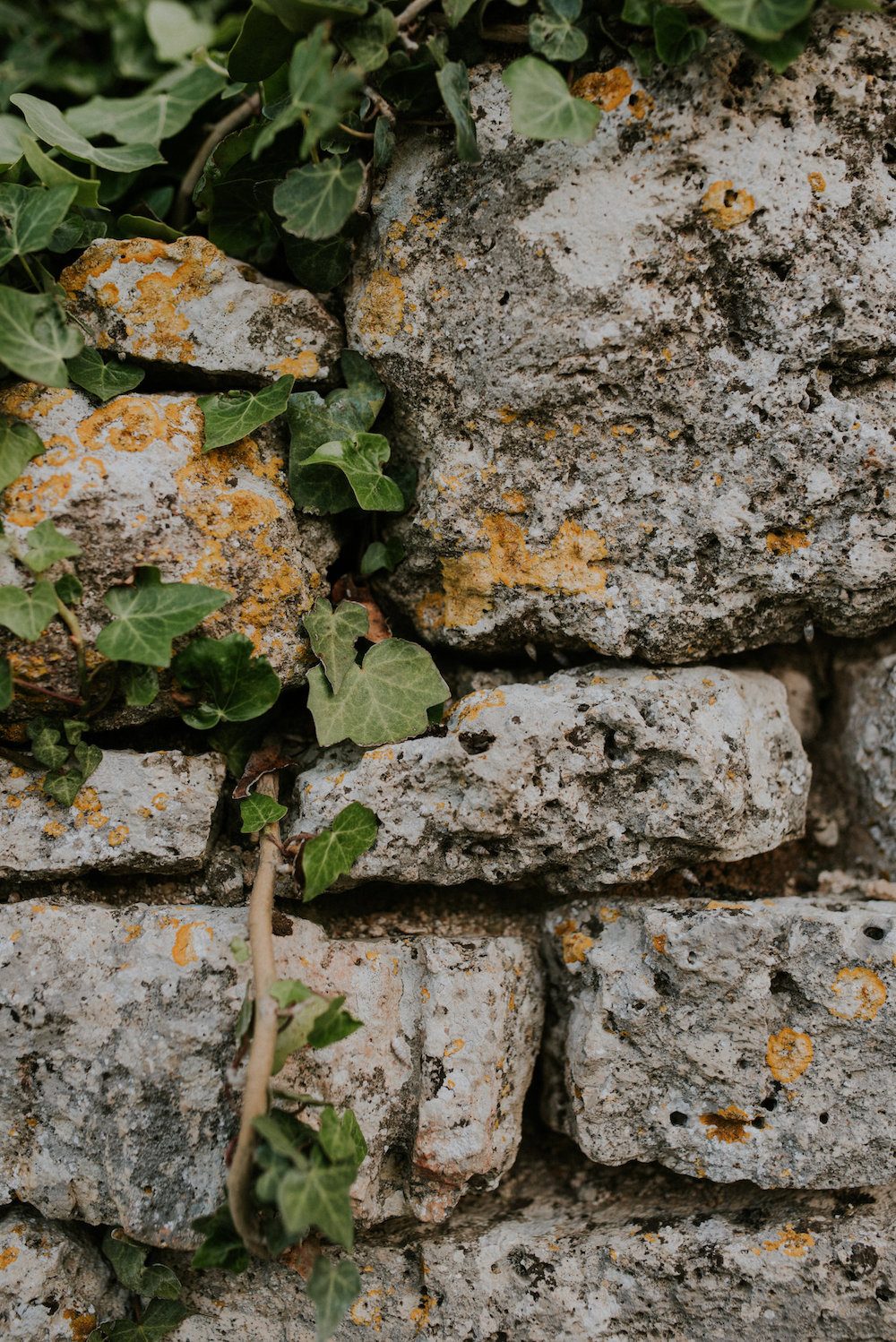 Mariage en drôme provençale - Mélanie et Vincent - Blog Mariage Madame C Mariage en drôme provençale - Mélanie et Vincent - Blog Mariage Madame C