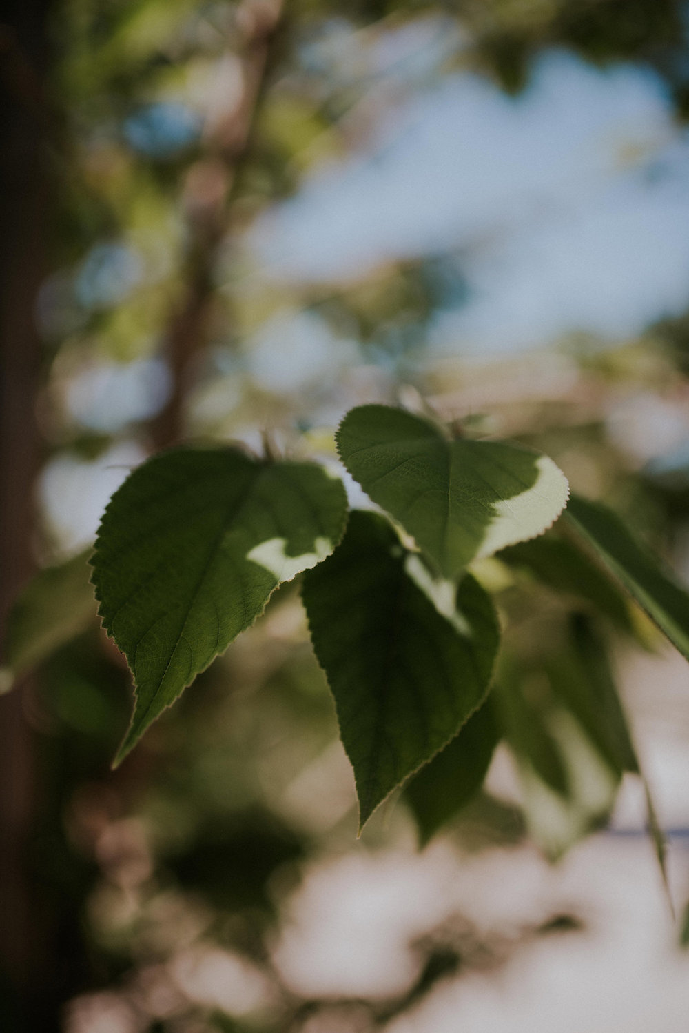 Mariage en drôme provençale - Mélanie et Vincent - Blog Mariage Madame C Mariage en drôme provençale - Mélanie et Vincent - Blog Mariage Madame C