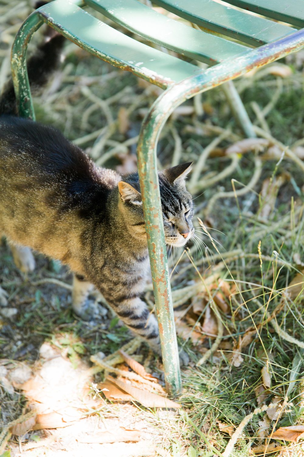 Un mariage dans les Cévennes au Mas Nouveau - Blog Mariage Madame C