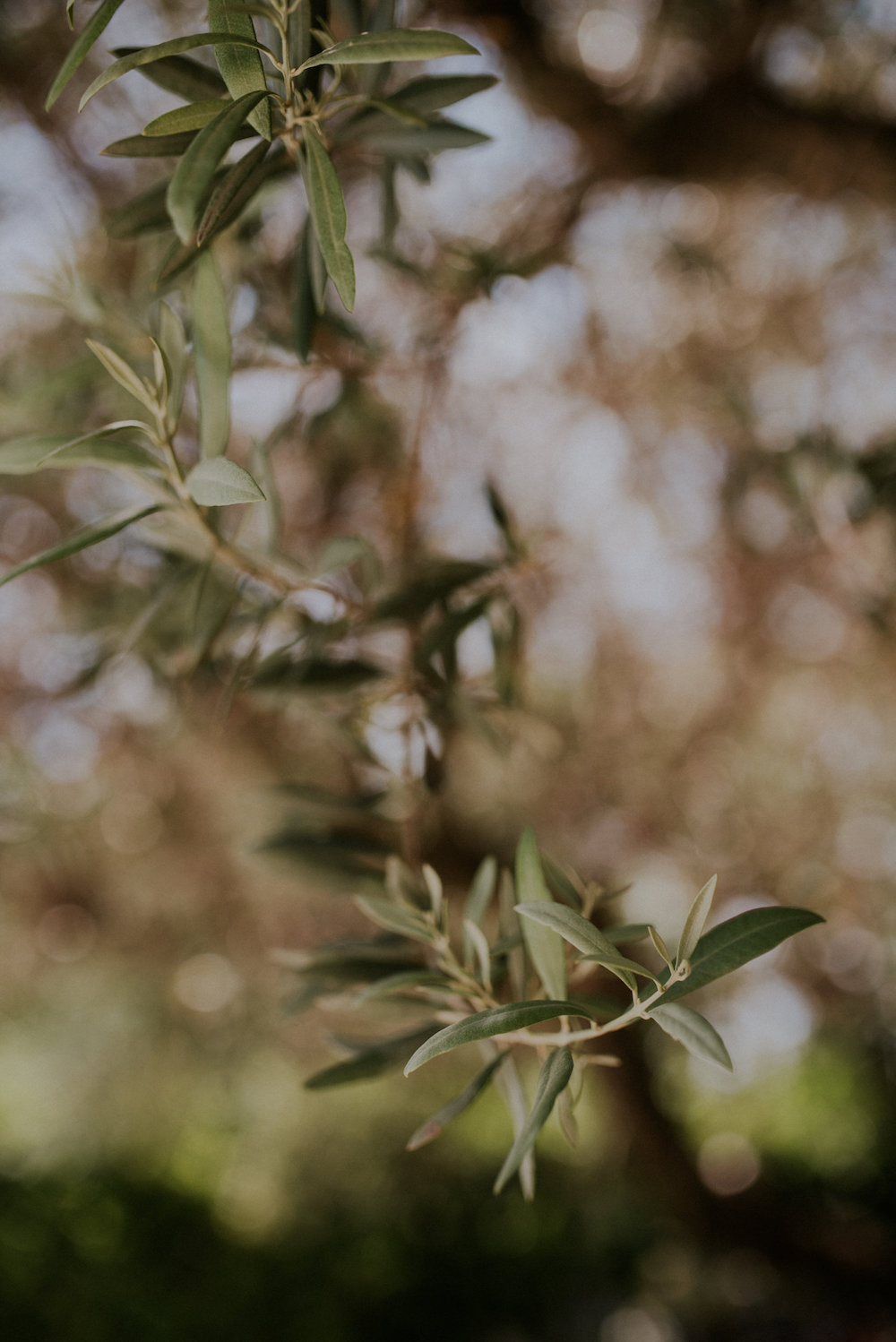 Une cérémonie civile à Grignan - Mélanie et Vincent - Blog Mariage Madame C