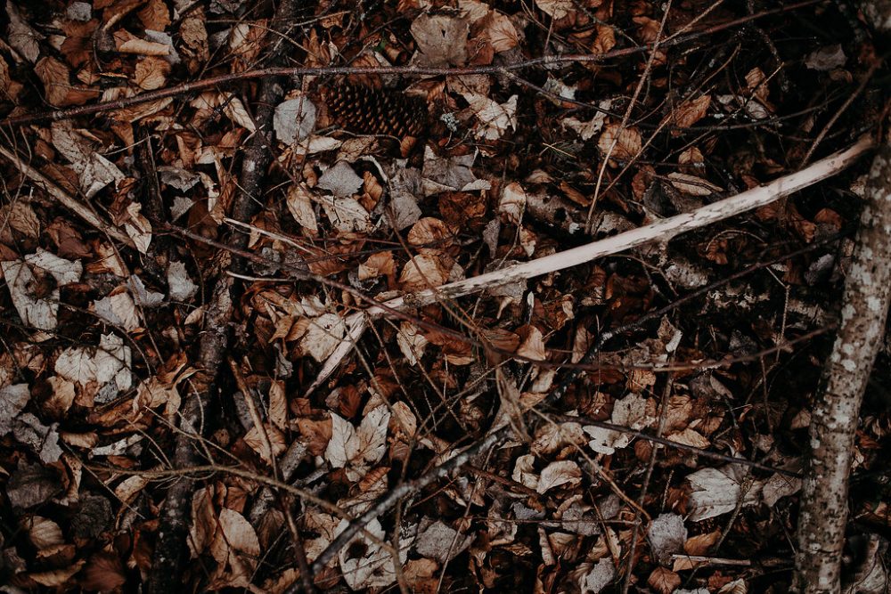 Une séance d'amoureux aux Carroz-d’Arâches - Clémence + Jean-Baptiste - Blog Mariage Madame C Une séance d'amoureux aux Carroz-d’Arâches - Clémence + Jean-Baptiste - Blog Mariage Madame C