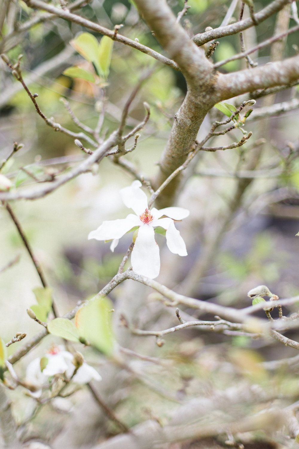 Un elopement à la Réunion - Blog Mariage Madame C