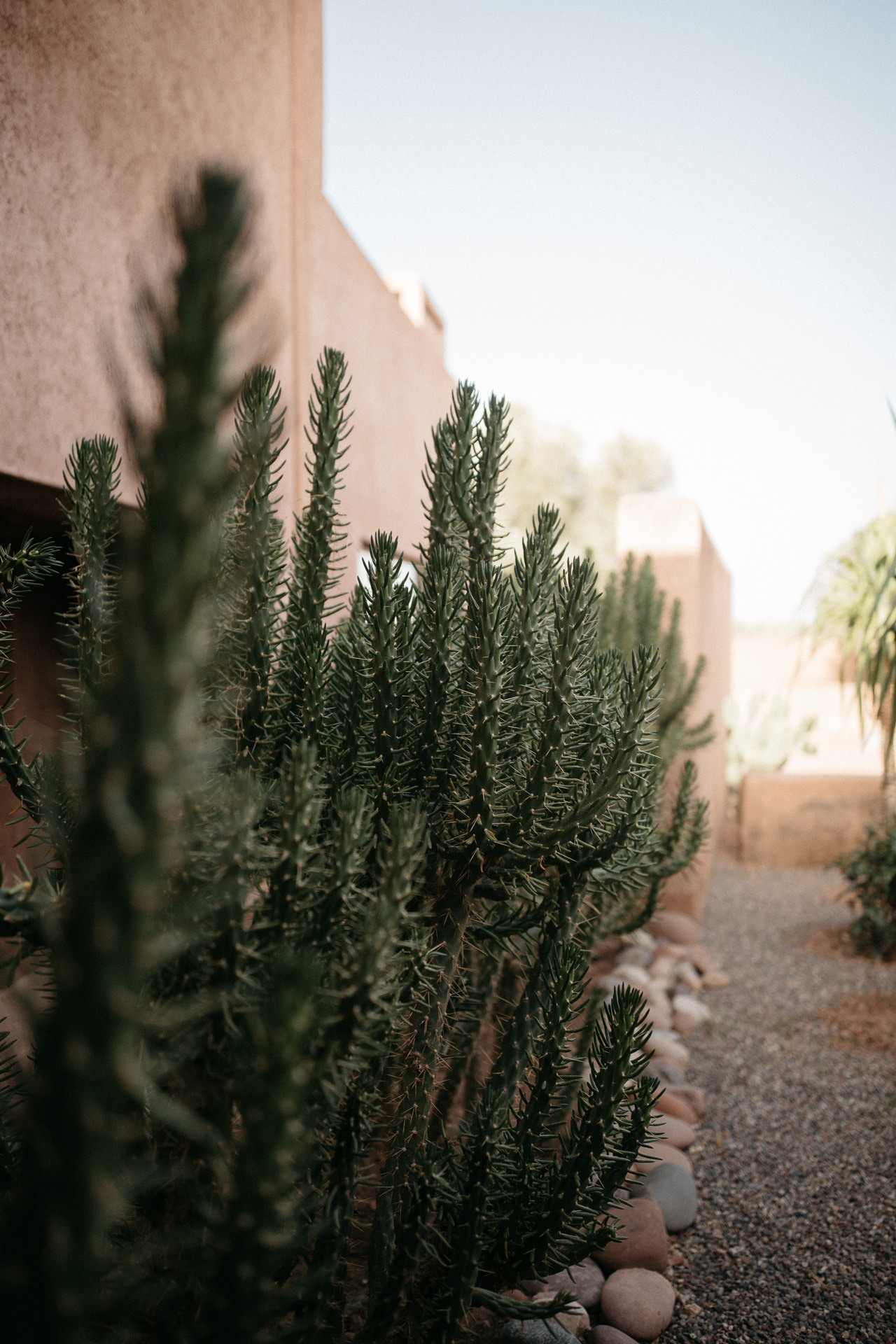 By Romance - le nouvel e-shop mariage - Blog Mariage Madame C By Romance - le nouvel e-shop mariage - Blog Mariage Madame C