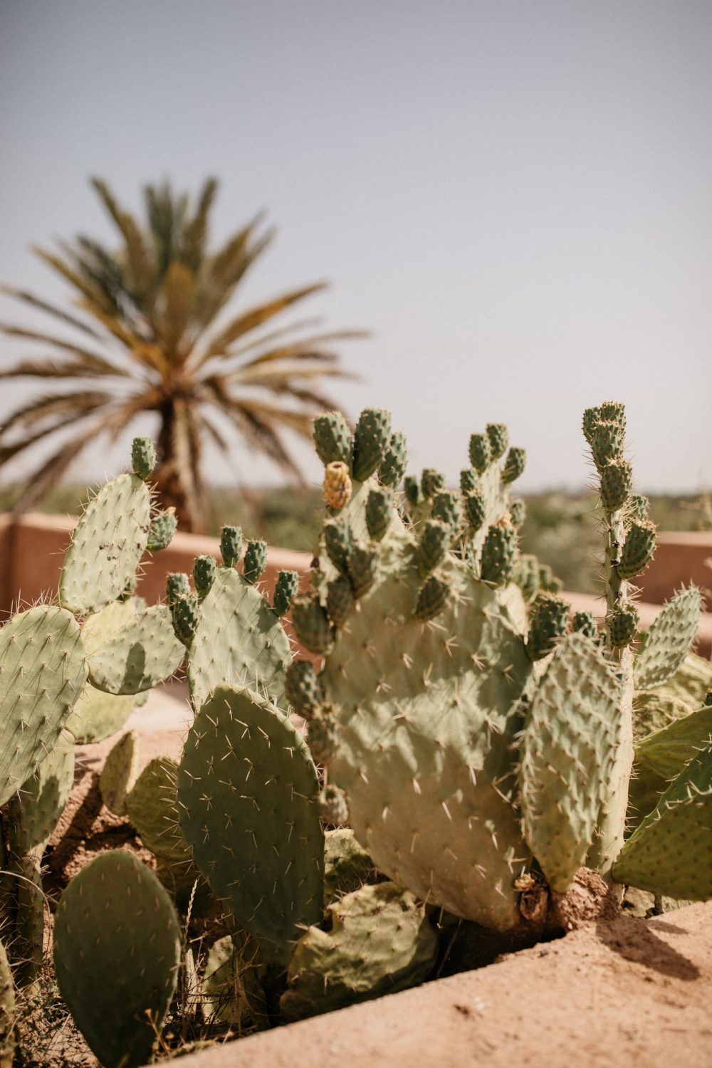 By Romance - le nouvel e-shop mariage - Blog Mariage Madame C By Romance - le nouvel e-shop mariage - Blog Mariage Madame C