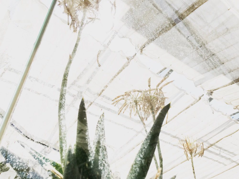 Caroline Takvorian Collection 2018 – Robes de mariée - Blog Mariage Madame C