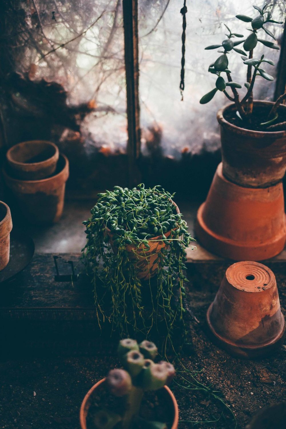 Jardin secret - Blog Mariage Madame C