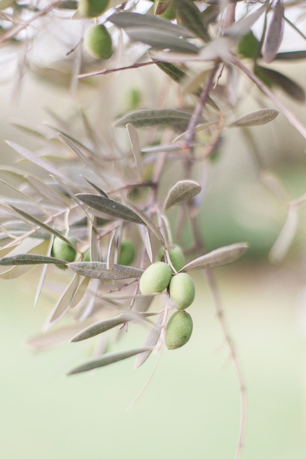 Un mariage à Marrakech - Fatim et Guillaume - Blog Mariage Madame C Un mariage à Marrakech - Fatim et Guillaume - Blog Mariage Madame C