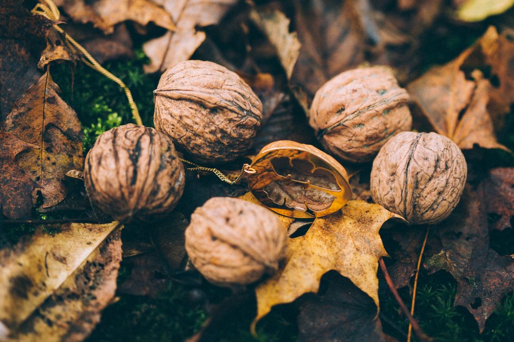 Douceurs d'Automne - Blog Mariage Madame C Douceurs d'Automne - Blog Mariage Madame C