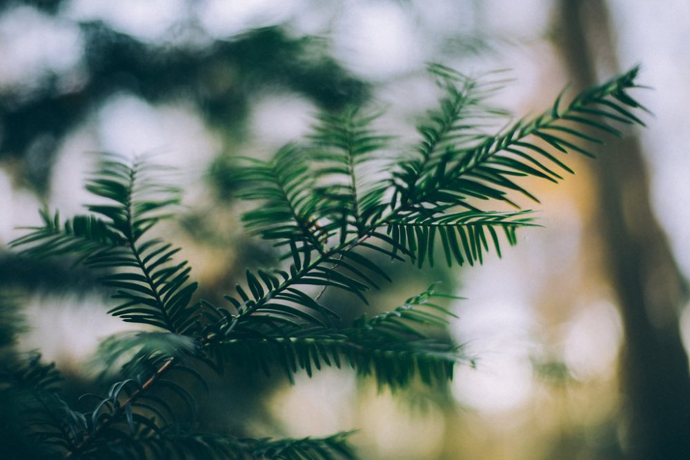 Douceurs d'Automne - Blog Mariage Madame C Douceurs d'Automne - Blog Mariage Madame C