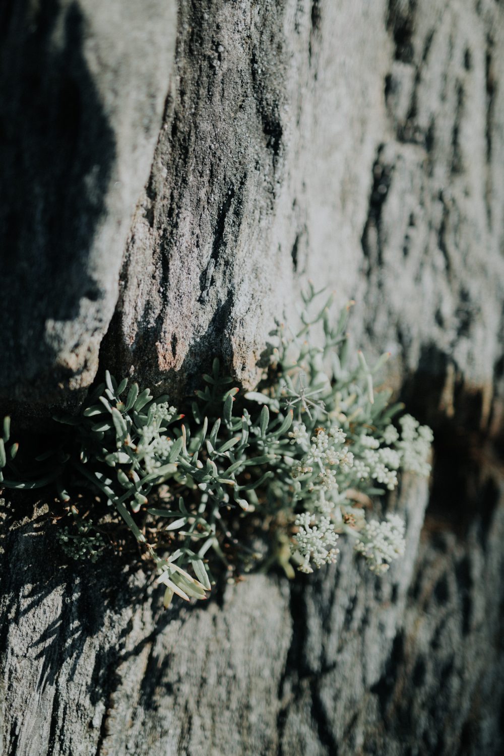 Atelier Être soie même Collection 2018 - Robes de mariée - Blog Mariage Madame C