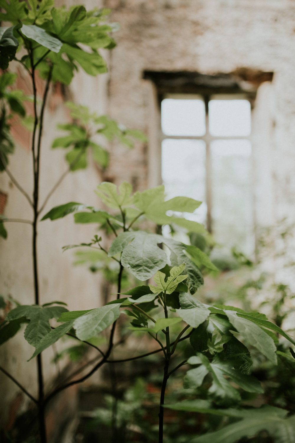 Tropical Imperial - Blog Mariage Madame C