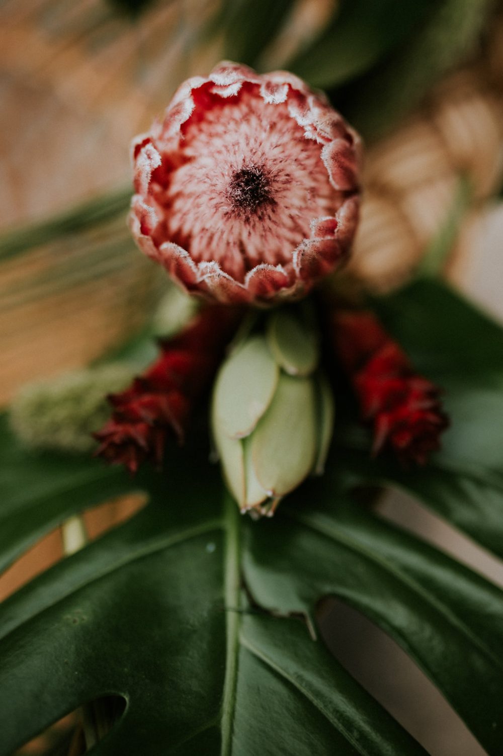 Tropical Imperial - Blog Mariage Madame C