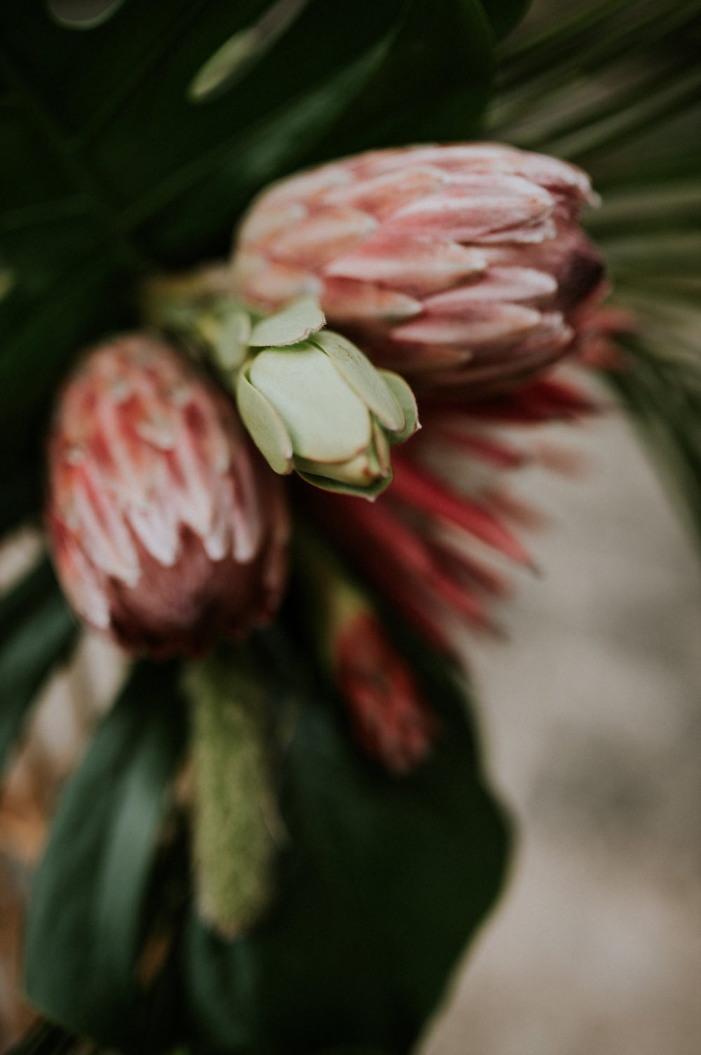 Tropical Imperial - Blog Mariage Madame C