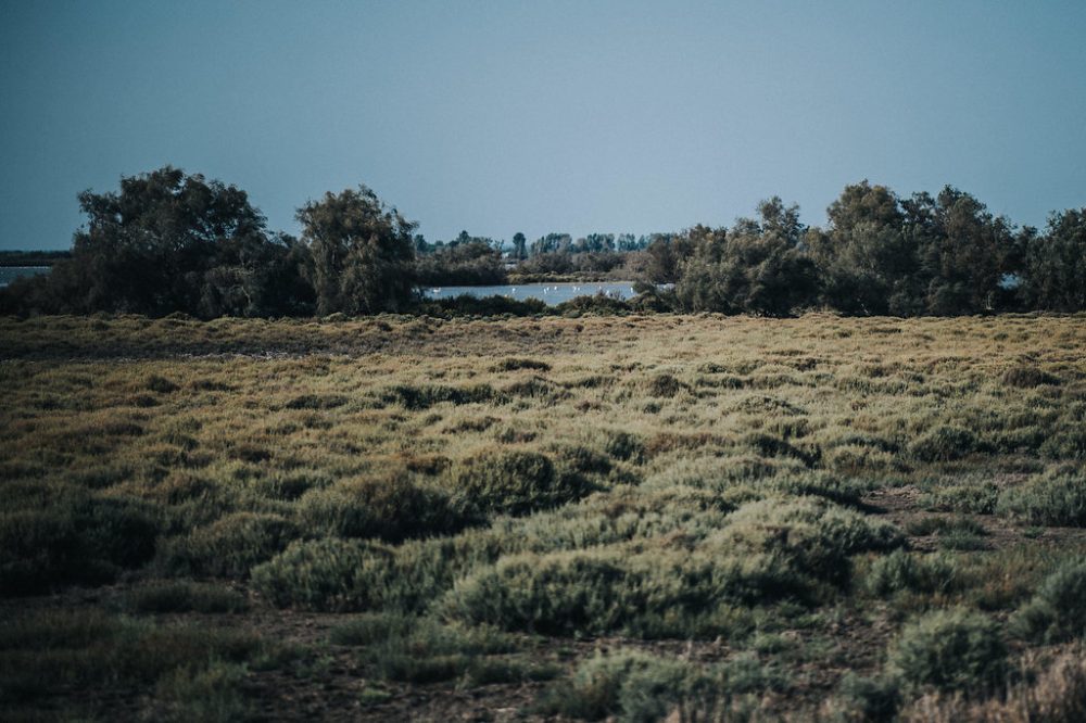 Mariage en Camargue sur une plage sauvage - Blog Mariage Madame C