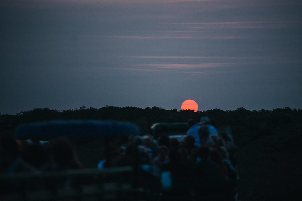 Mariage en Camargue sur une plage sauvage - Blog Mariage Madame C