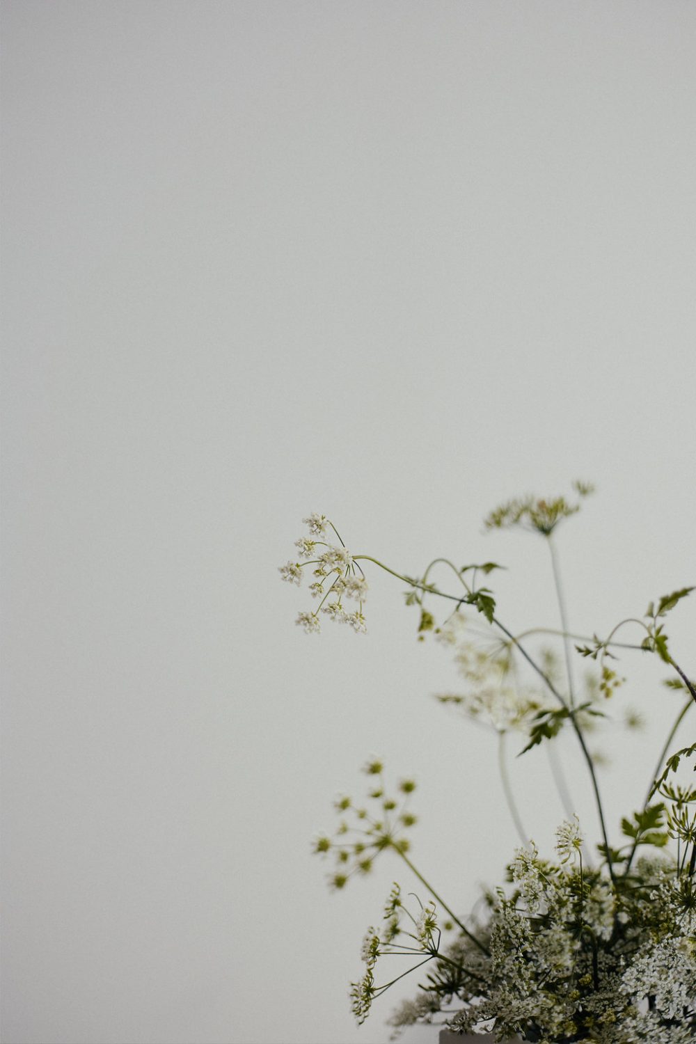 Inspiration végétale et minimaliste pour sa décoration de mariage - Blog Mariage Madame C Inspiration végétale et minimaliste pour sa décoration de mariage - Blog Mariage Madame C