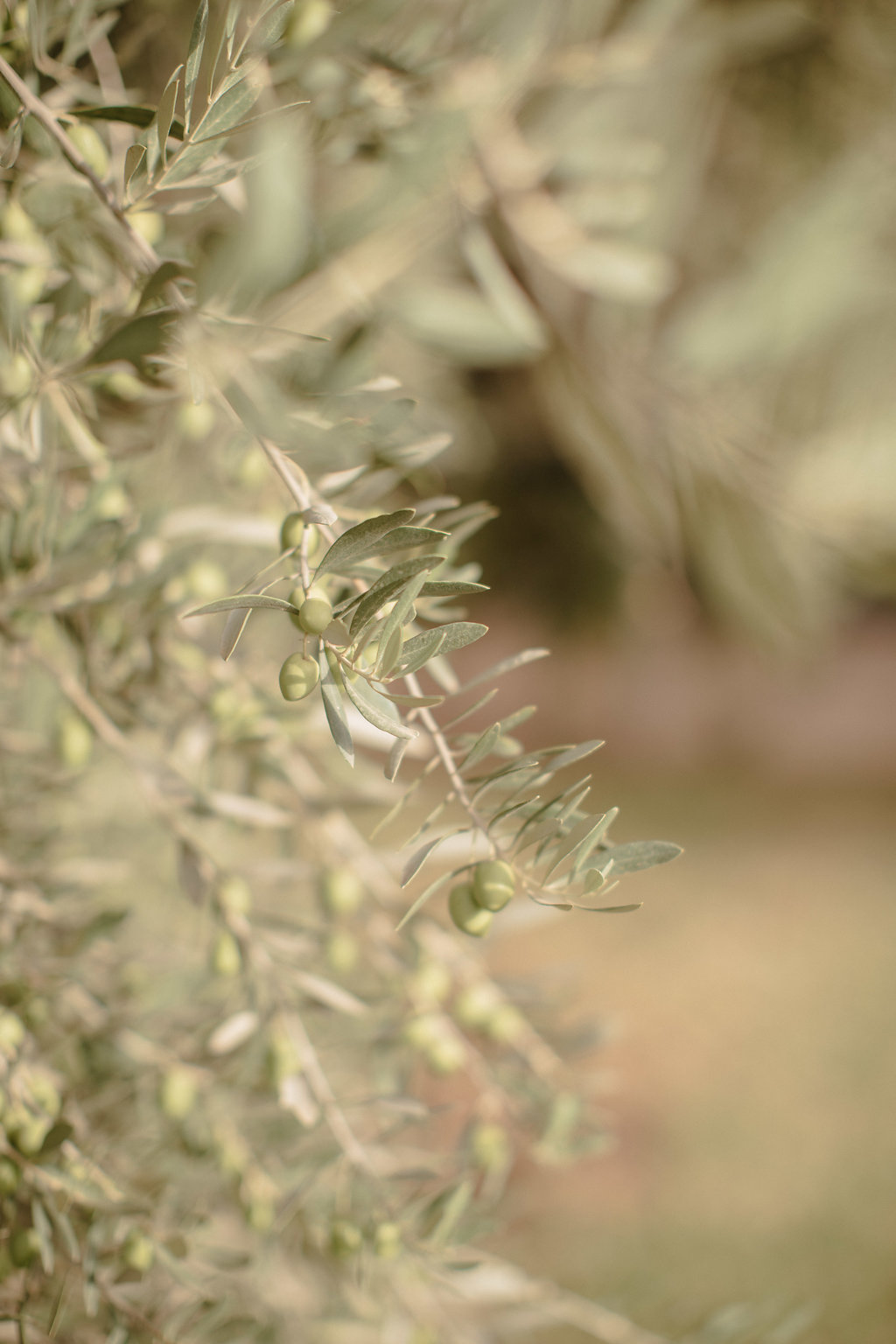 Faubourg Saint Sulpice Collection 2018 - Costume de mariage - Blog Mariage Madame C