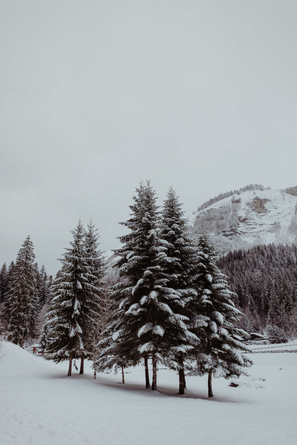 Un mariage sous la neige au Domaine du Baron en Haute-Savoie - Blog Mariage Madame C