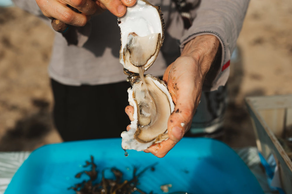 Un mariage sous la falaise - Alexandra + Nicolas - Blog Mariage Madame C