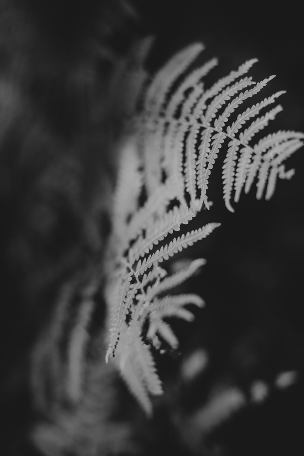 Salomé Gautard Collection 2018 - Robes de mariée - Blog Mariage Madame C Salomé Gautard Collection 2018 - Robes de mariée - Blog Mariage Madame C