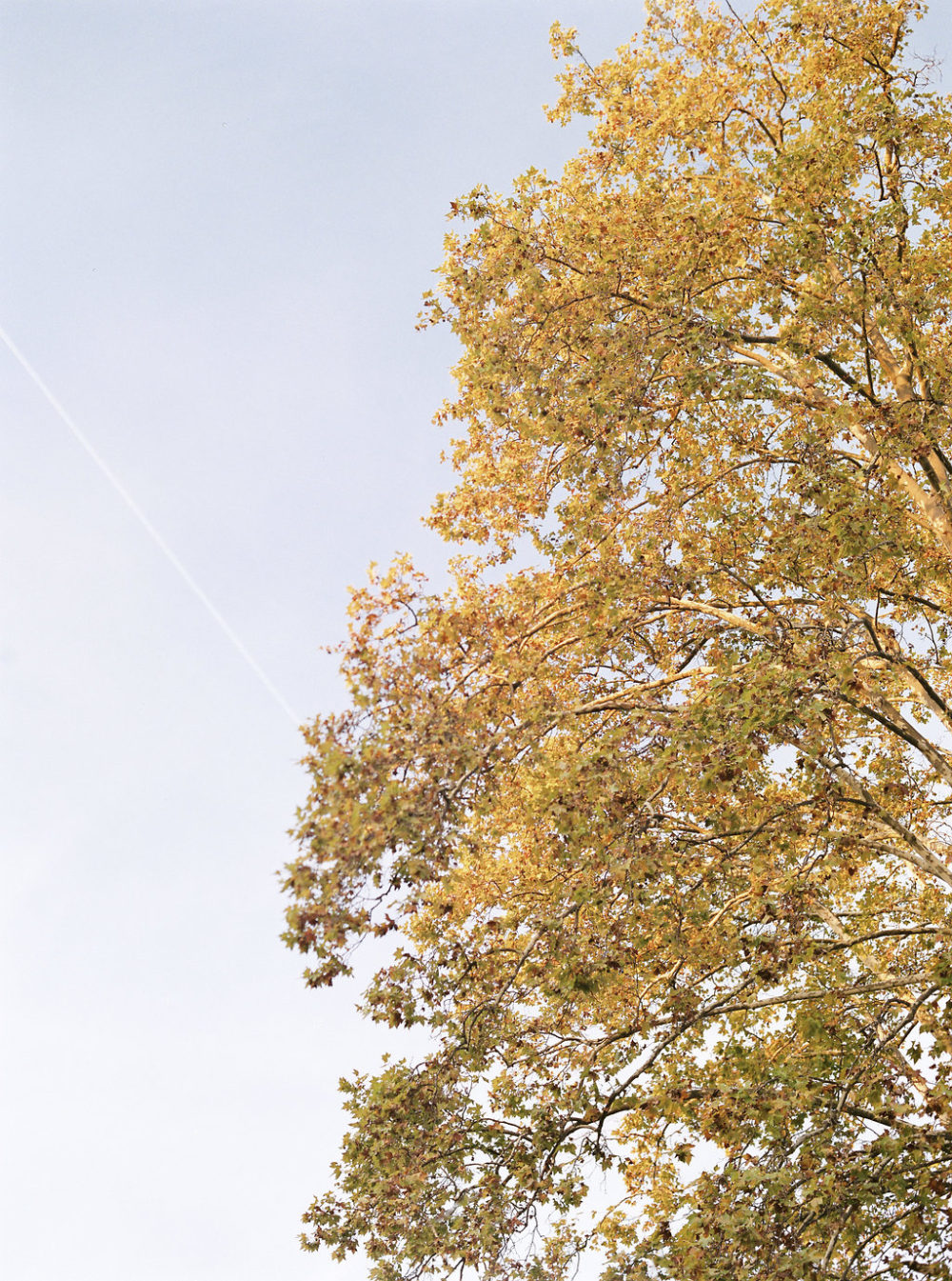 So Hélo x Cléophina Collection 2018 - bijoux et accessoires de mariage - Blog Mariage Madame C