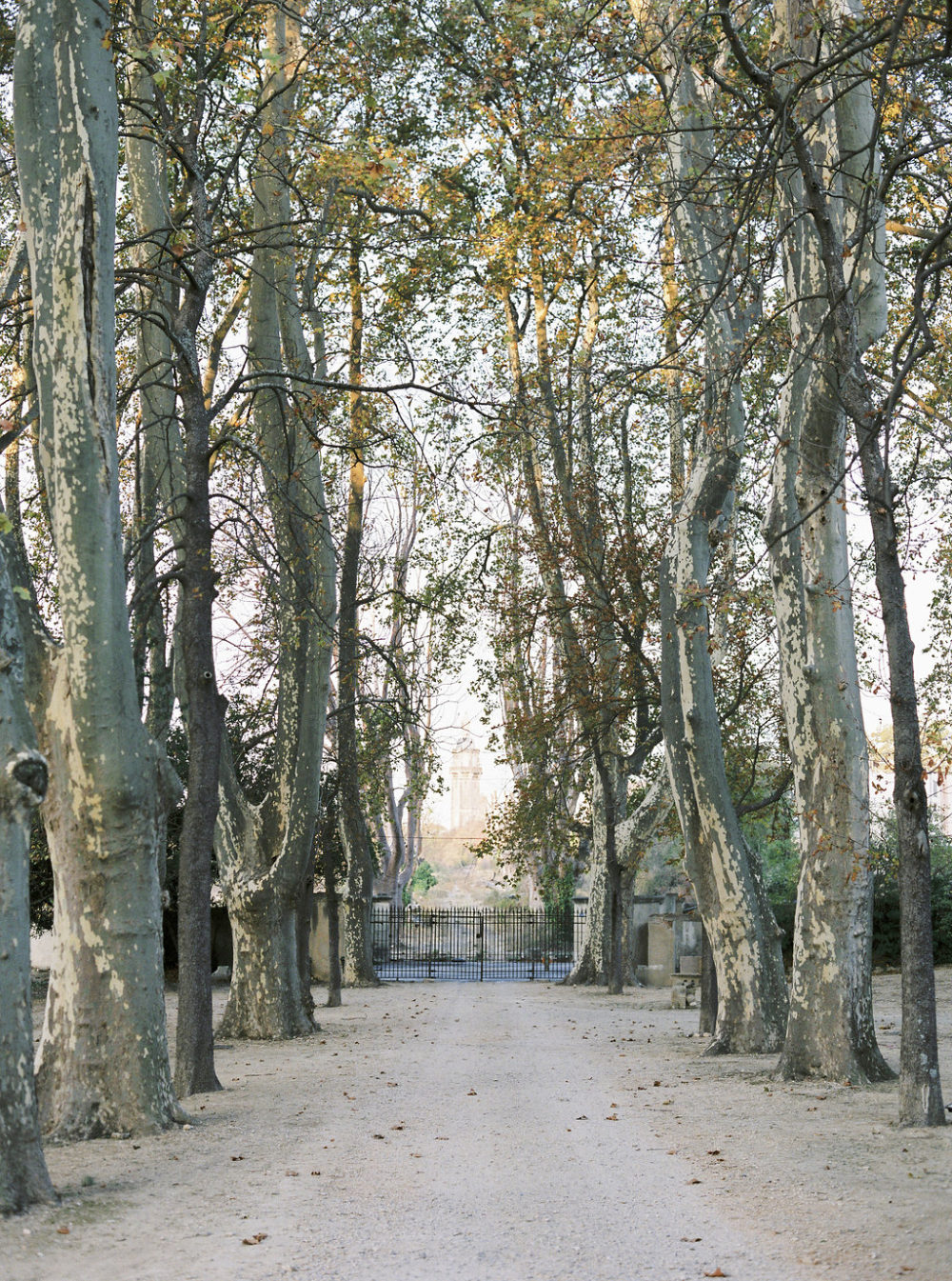 So Hélo x Cléophina Collection 2018 - bijoux et accessoires de mariage - Blog Mariage Madame C