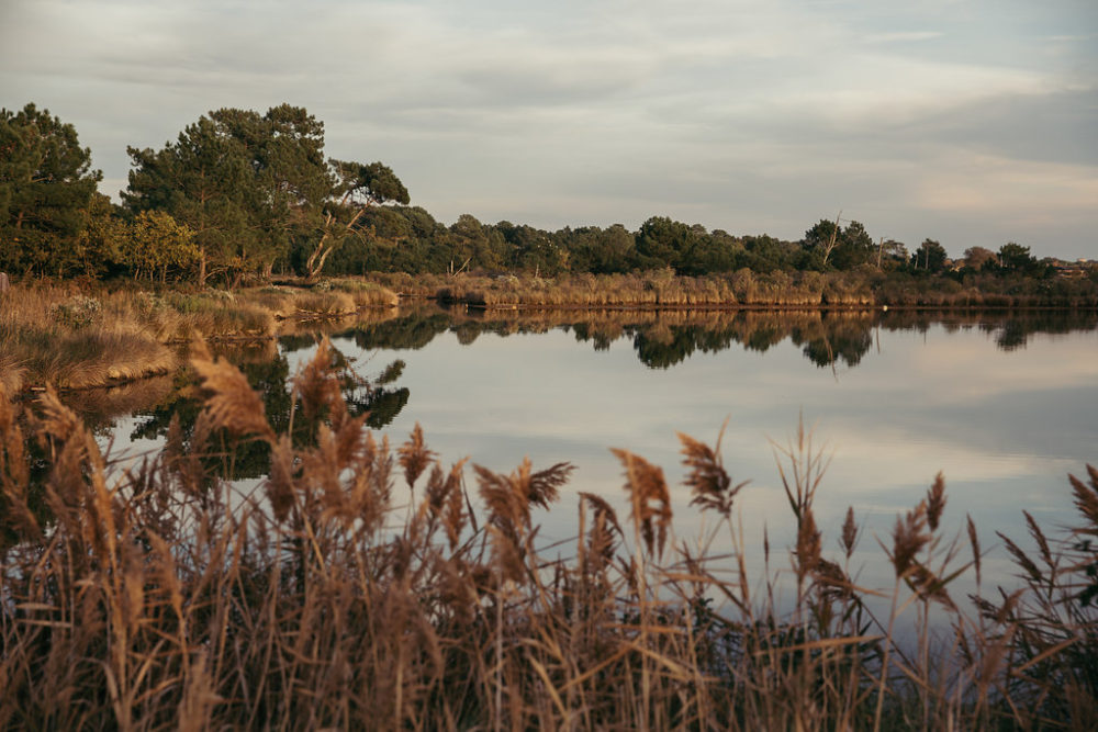 Rendez-vous au bassin d'arcachon - Wendy + Brice - Blog Mariage Madame C
