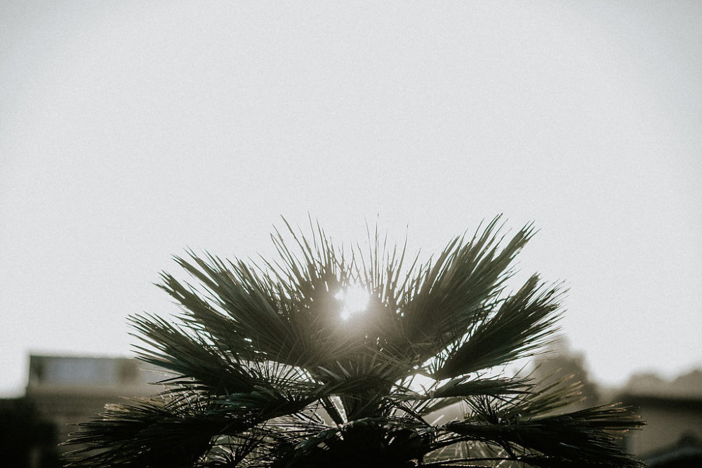 Un mariage intime sur les hauteurs de Nice - Amélie + Pierre - Blog Mariage Madame C Un mariage intime sur les hauteurs de Nice - Amélie + Pierre - Blog Mariage Madame C