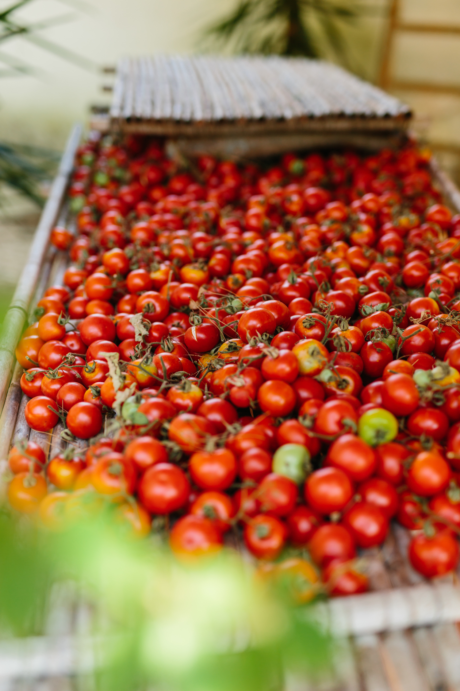 Mariage dans les Pouilles - Luisa + Francesco - Blog Mariage Madame C Mariage dans les Pouilles - Luisa + Francesco - Blog Mariage Madame C