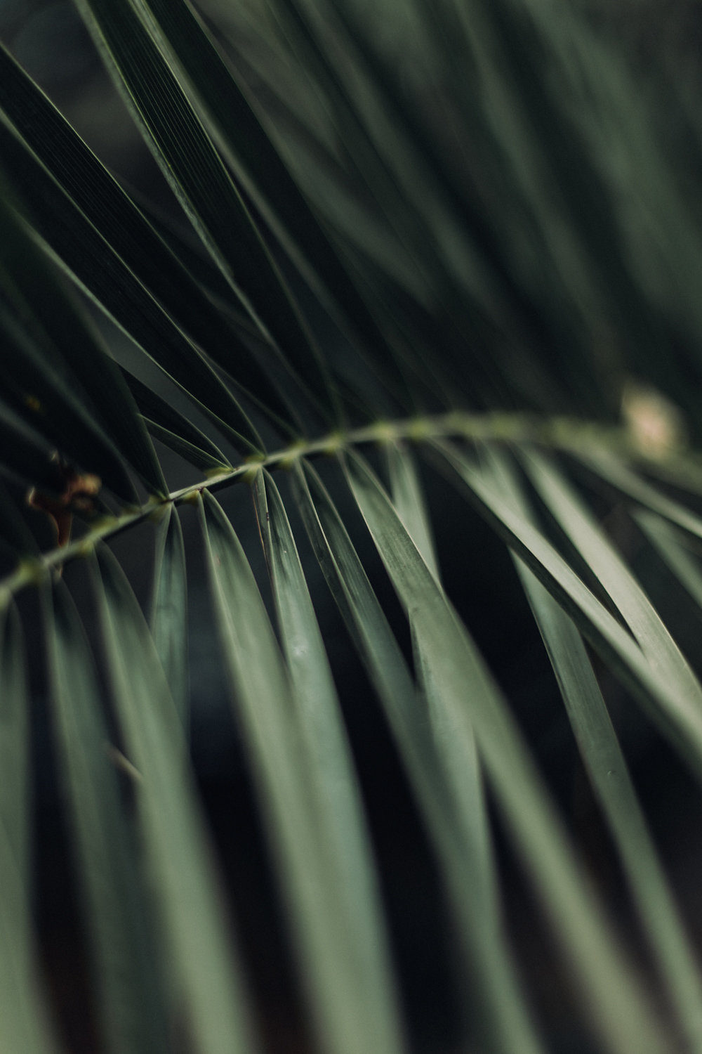 Mariage champêtre dans le Var - Maya et Maxime - Blog Mariage Madame C