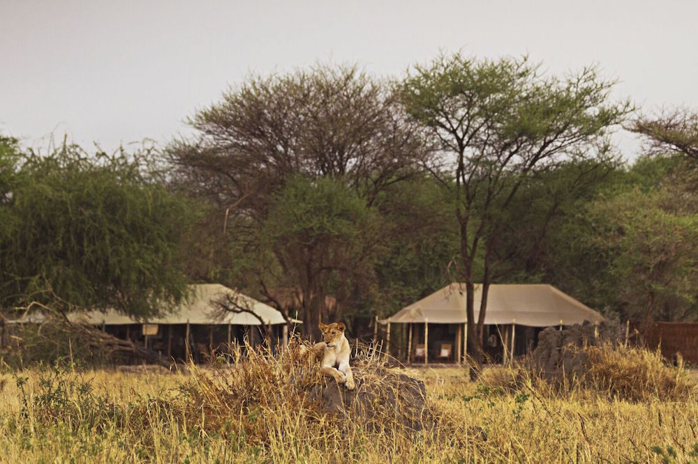 Destination Afrique - Blog Mariage Madame C Destination Afrique - Blog Mariage Madame C