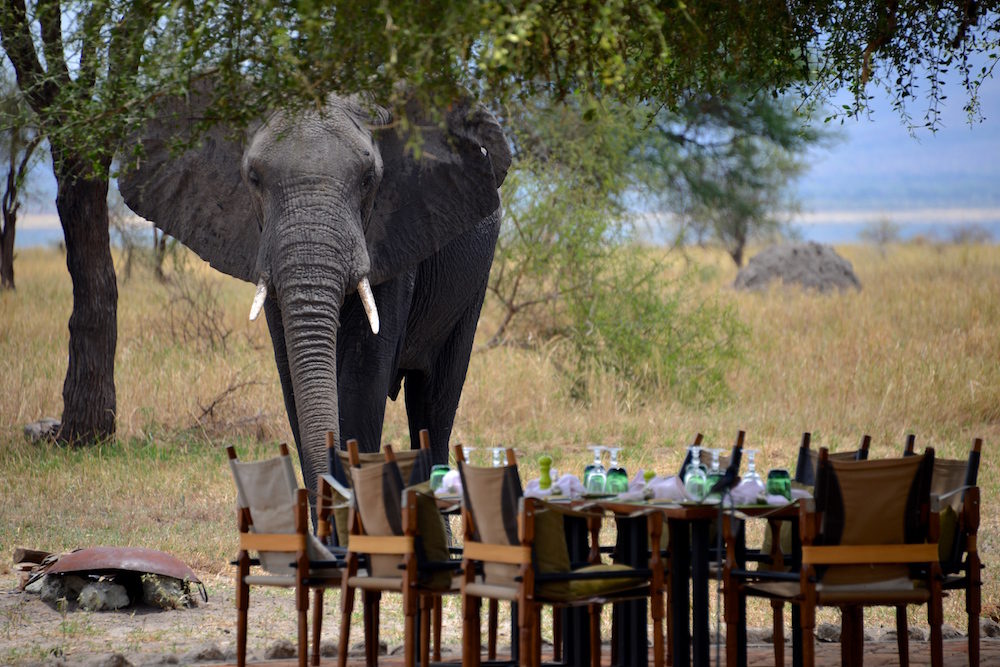 Destination Afrique - Blog Mariage Madame C Destination Afrique - Blog Mariage Madame C