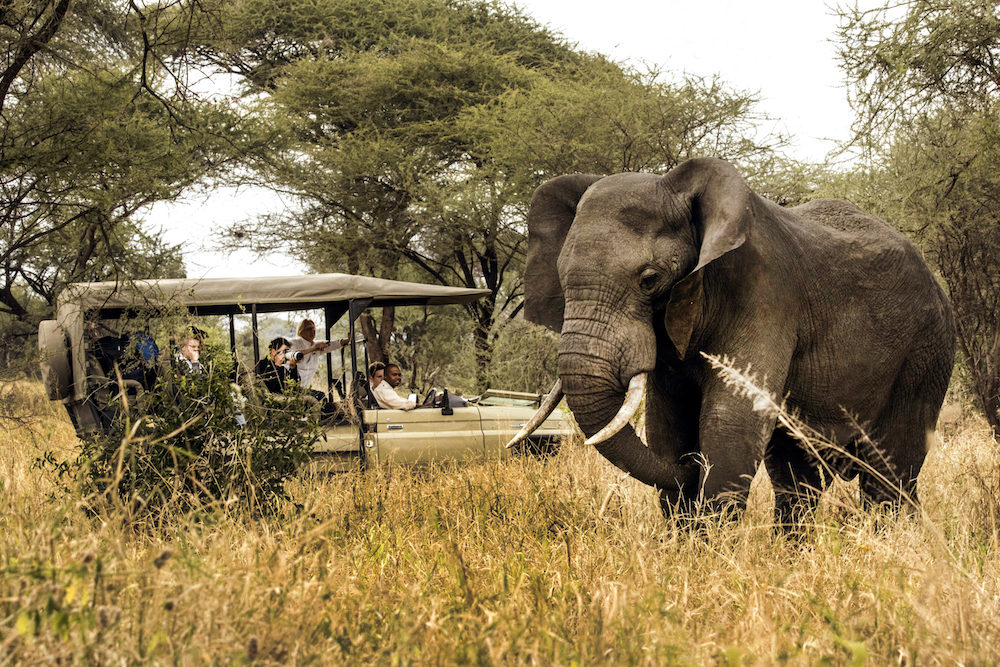 Destination Afrique - Blog Mariage Madame C Destination Afrique - Blog Mariage Madame C