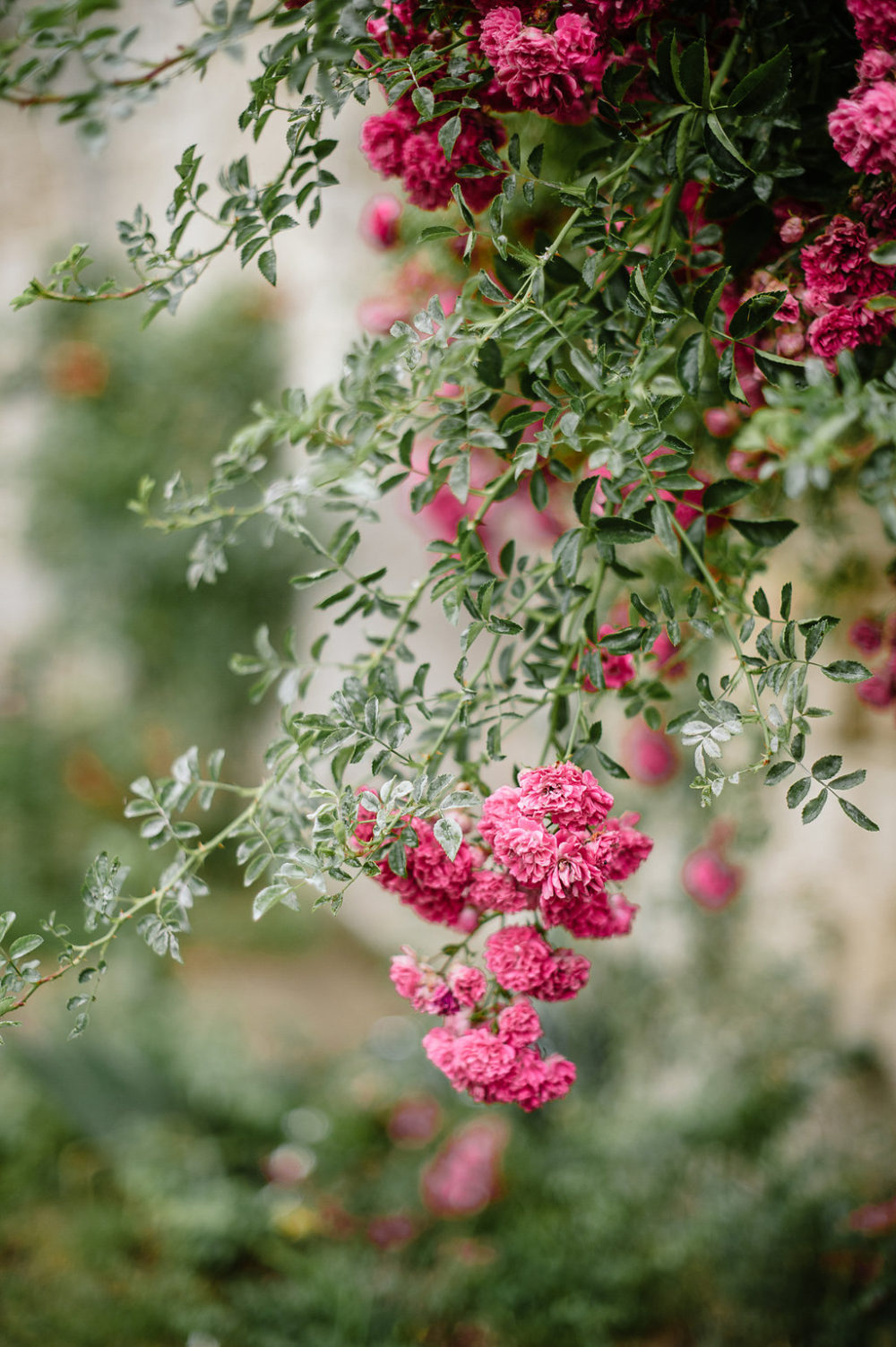 Un mariage dans l'Aisne à l'Abbaye de Longpont - Laura + Damien - Blog Mariage Madame C Un mariage dans l'Aisne à l'Abbaye de Longpont - Laura + Damien - Blog Mariage Madame C