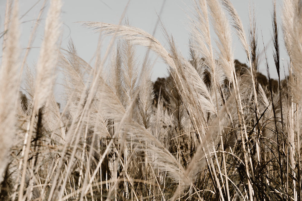 Mon amour - Natacha + Dhinesh - Blog Mariage Madame C Mon amour - Natacha + Dhinesh - Blog Mariage Madame C