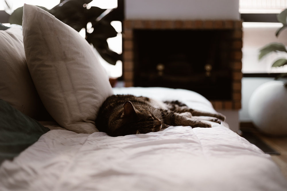 Mon amour - Natacha + Dhinesh - Blog Mariage Madame C Mon amour - Natacha + Dhinesh - Blog Mariage Madame C