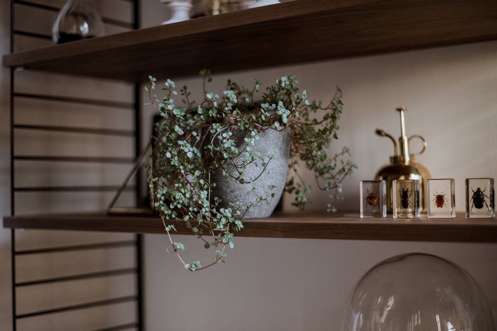 Chez nous - Amélie + Maximien - Blog Mariage Madame C