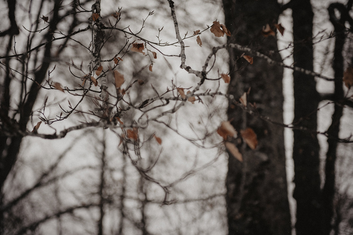 Escapade hivernale dans les Pyrénées - Cindy + Florian - Blog Mariage Madame C