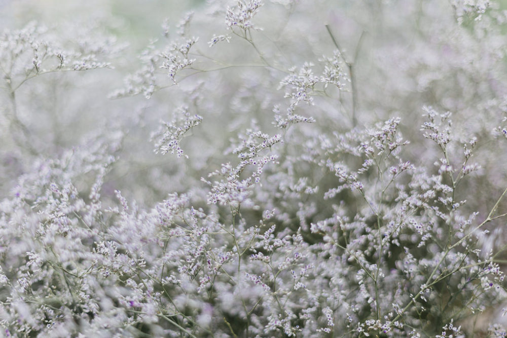 Mariage en Belgique dans une ferme - Céline + Greg - Blog Mariage Madame C