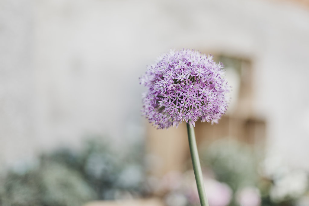 Mariage en Belgique dans une ferme - Céline + Greg - Blog Mariage Madame C
