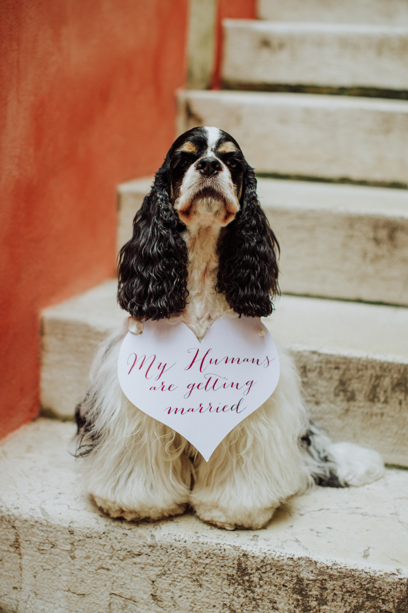 Noces Vénitiennes - Blog Mariage Madame C Noces Vénitiennes - Blog Mariage Madame C