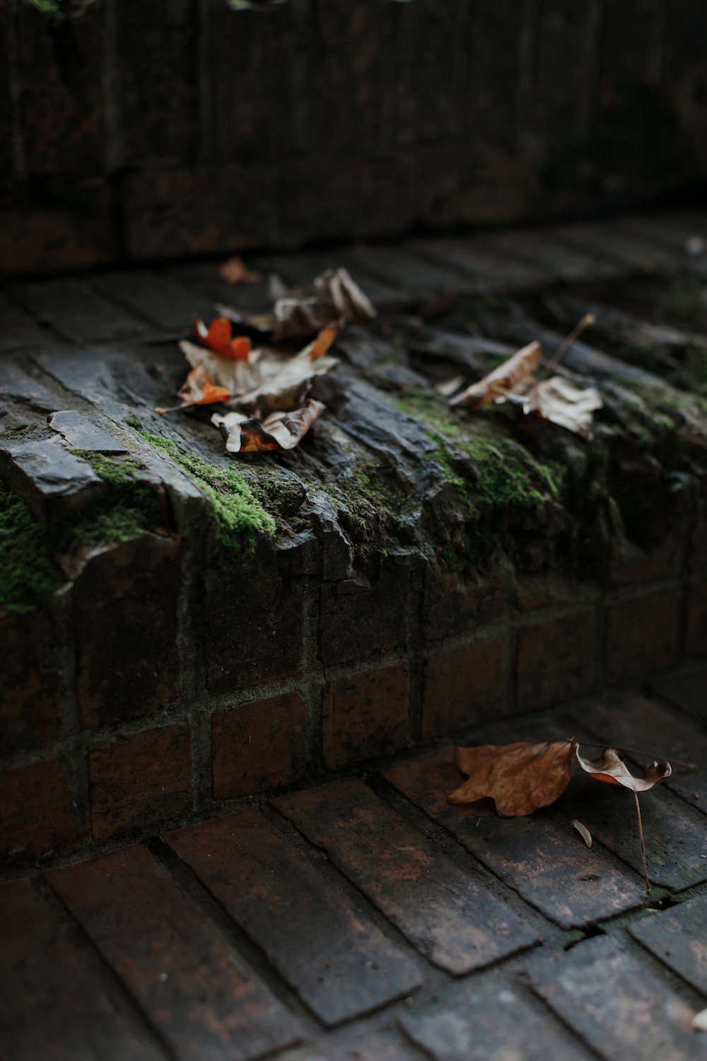 Mariage à Biarritz - Joanna + Ross - Blog Mariage Madame C Mariage à Biarritz - Joanna + Ross - Blog Mariage Madame C