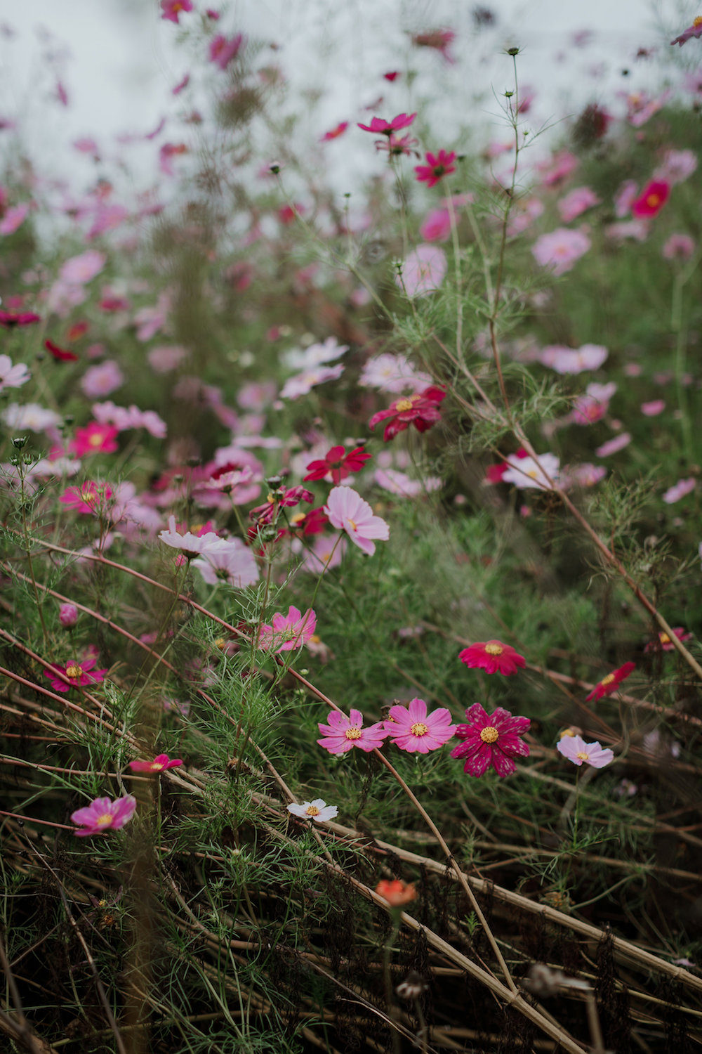 Mariage à Biarritz - Joanna + Ross - Blog Mariage Madame C Mariage à Biarritz - Joanna + Ross - Blog Mariage Madame C