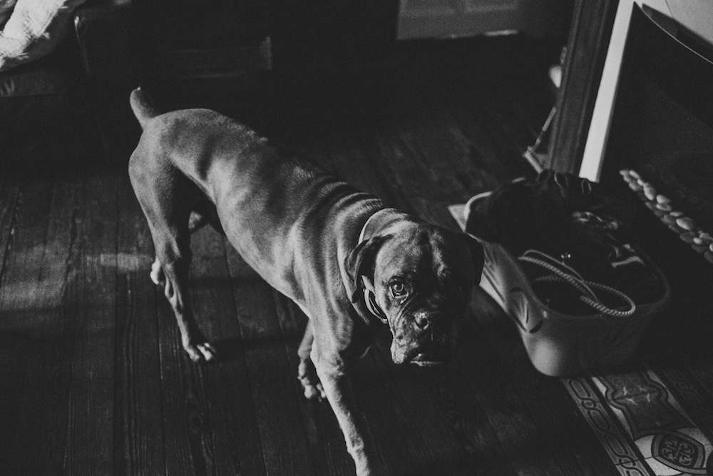 To the moon and back - Maryse + Laurent - Blog Mariage Madame C