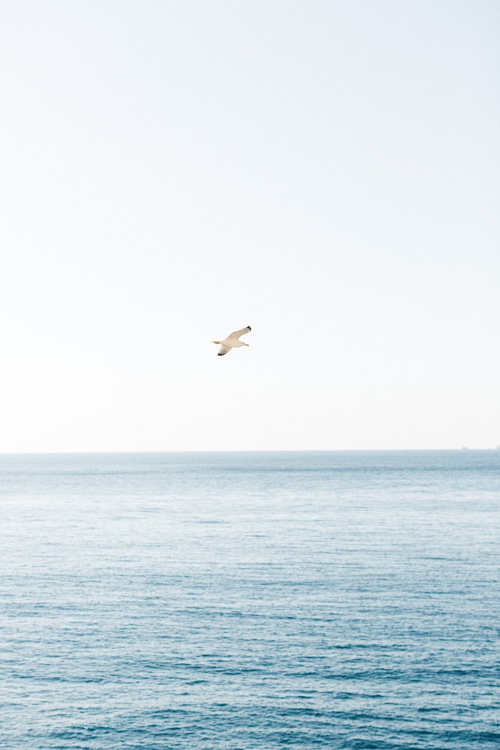 Rendez-vous à Cassis, aux Calanques de Port Miou - Blog Mariage Madame C Rendez-vous à Cassis, aux Calanques de Port Miou - Blog Mariage Madame C