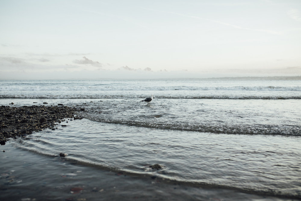 Une séance engagement à Lisbonne - Titilayo + Emmanuel - Blog Mariage Madame C Une séance engagement à Lisbonne - Titilayo + Emmanuel - Blog Mariage Madame C