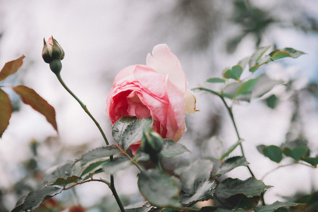 Un mariage en baie de Somme - Annabel + Vincent - Blog Mariage Madame C Un mariage en baie de Somme - Annabel + Vincent - Blog Mariage Madame C
