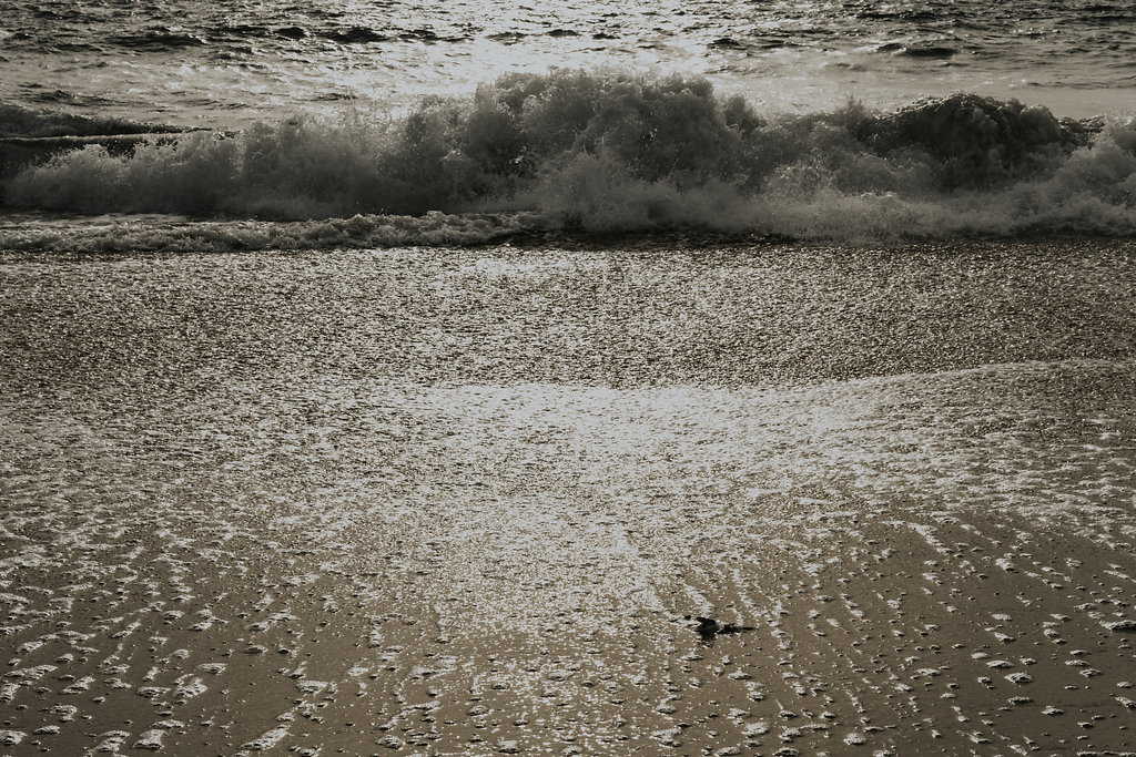 Atlantic Elopement - Blog Mariage Madame C Atlantic Elopement - Blog Mariage Madame C