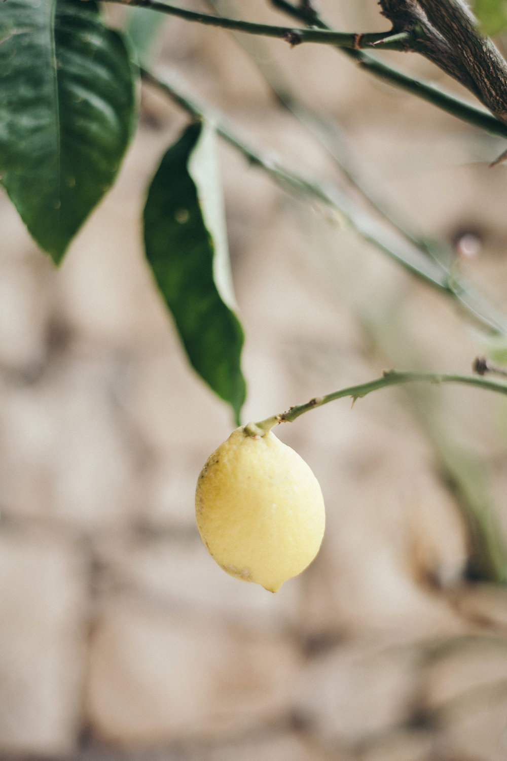 Mariage au Château de La Garde - Hortense + Stéphane - Blog Mariage Madame C