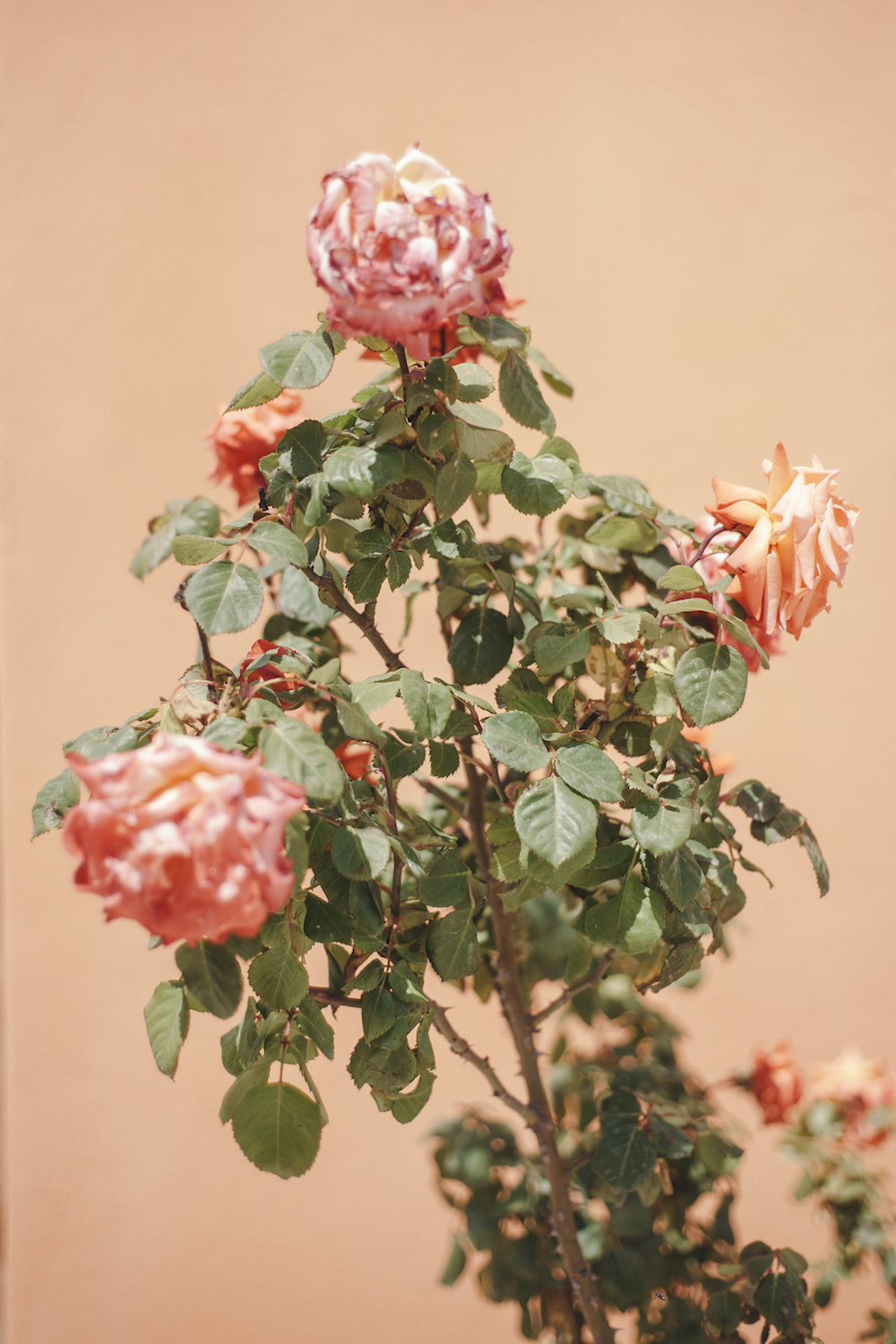 Mariage au Château de La Garde - Hortense + Stéphane - Blog Mariage Madame C